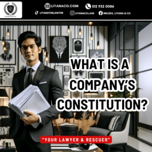 What is a company’s constitution?