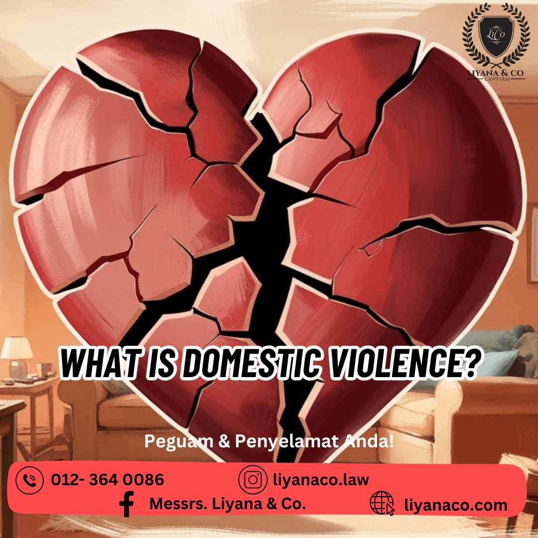 WHAT IS DOMESTIC VIOLENCE?