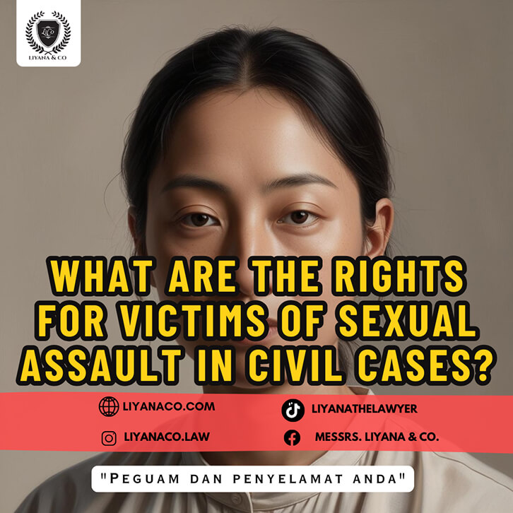 WHAT ARE THE RIGHTS FOR VICTIMS OF SEXUAL ASSAULT IN CIVIL CASES?